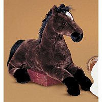 Zoe Bay Horse